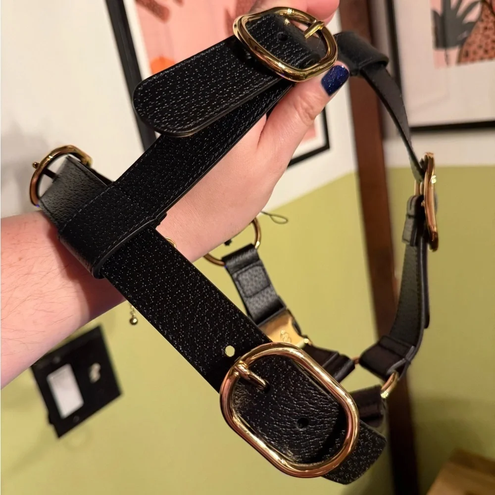 Gucci NWOT Demetra leather Black  Harness with Gold Accents
